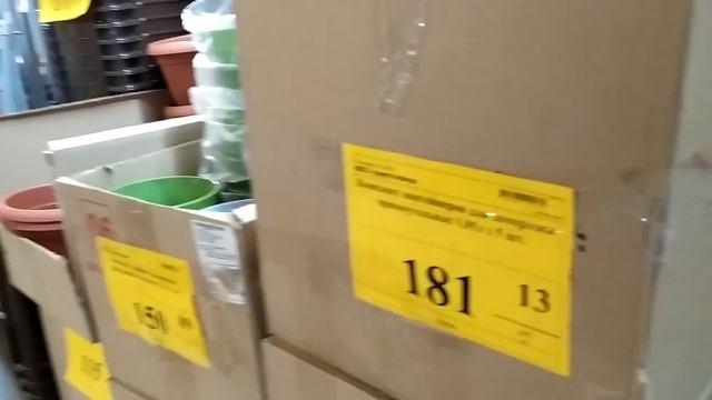 Светофор/море недорогих саженцев/обзор товара/покупки...