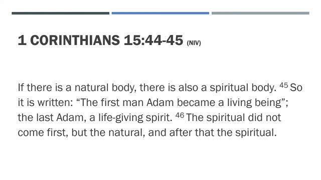 Tuesday Bible Study - 1 Corinthians (iv) смотреть онлайн