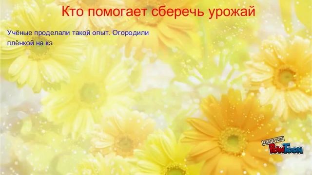 Растениеводство в нашем крае смотреть онлайн