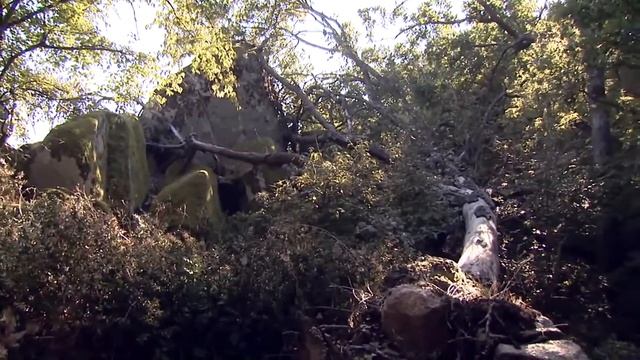 Скала Львиная Голова. Каменный хранитель Приморско смотреть онлайн