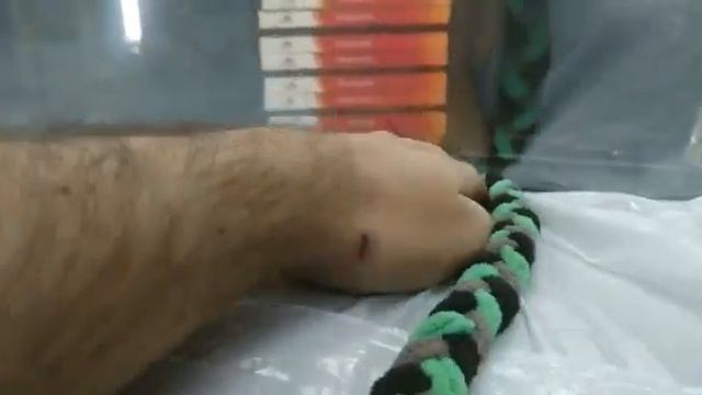 SoakShield. Безопасная Тонировка лобового стекла.