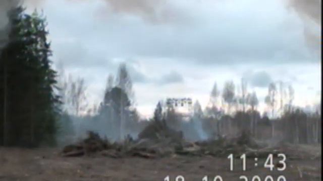 Лес без начала. Вырубка леса в Академгородке смотреть онлайн