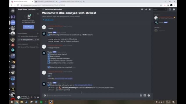 A Guide To Setting Up Vortex Discord Bot смотреть онлайн