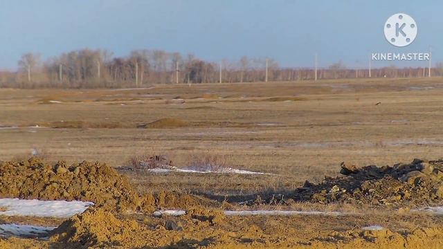 кроухантинг, Crowhunting, 2023, Doberman Psp