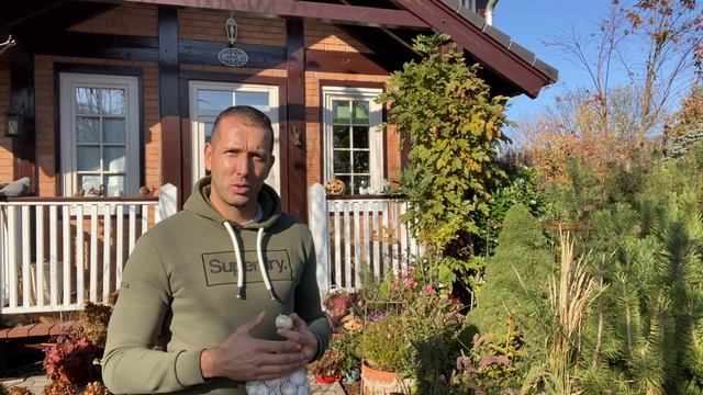 Díszhagyma ültetés смотреть онлайн