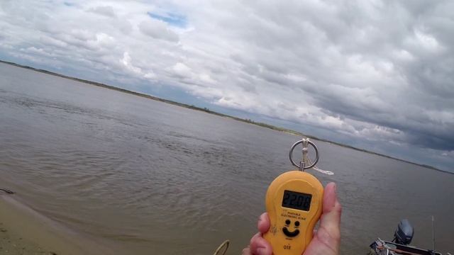 Сом на печень курицы..mp4