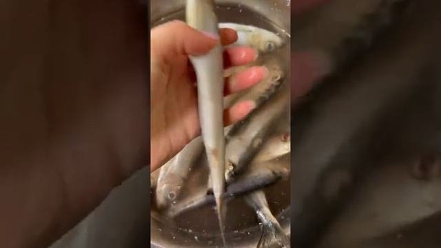 Как быстро разморозить рыбу или мясо ? #shorts #лайфхак #советы смотреть онлайн