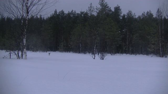 Зимняя охота смотреть онлайн