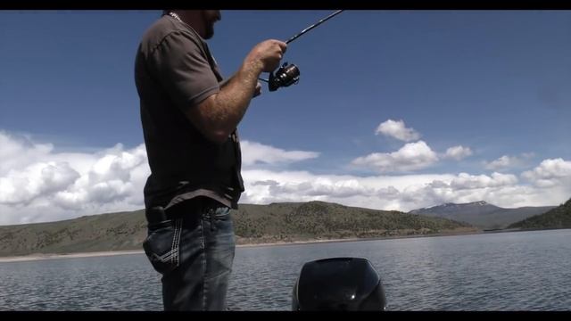 Lake Trout Fishing: Jigging For Giants