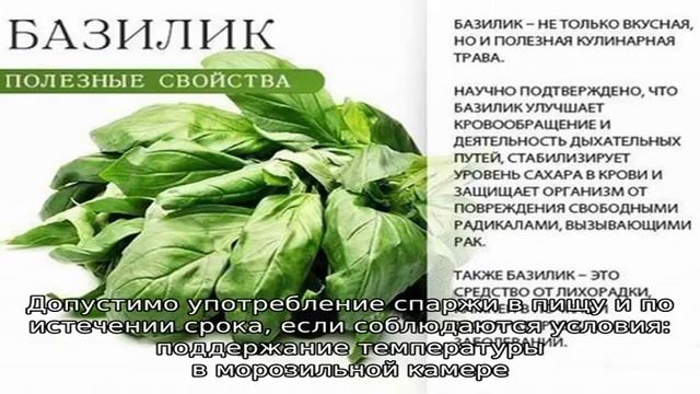 Подборка лучших способов, как заморозить стручковую фасоль, сохранив максимум пользы и вкуса смотреть онлайн