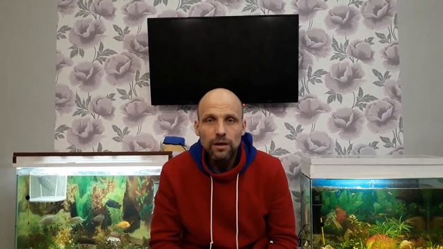 Зависимое поведение.Эмоциональное капсулирование.