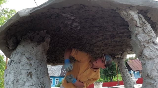 оформление потолка декоративная штукатурка. как просто и быстро по штукатурить потолок . смотреть онлайн