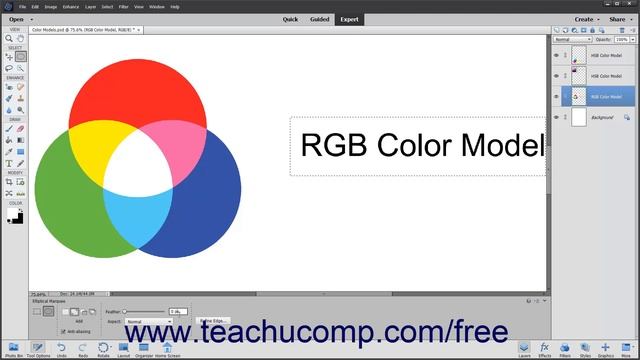 Learn How to Use the Marquee Tools in Adobe Photoshop Elements 2023: A Training Tutorial смотреть онлайн
