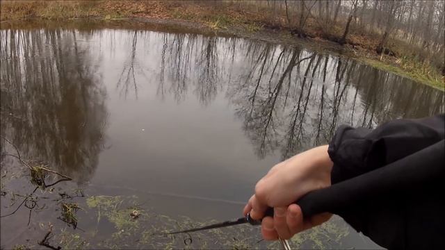 FishComm Shop: Ловим щуку на воблеры Chimera Agile 70FL смотреть онлайн