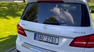 Mercedes GLS 63 AMG (X166)