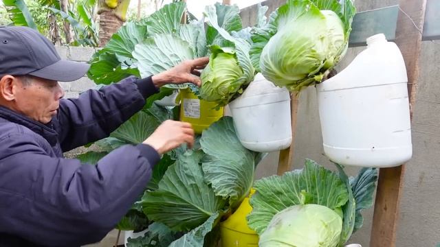 Recycle plastic waste into a one-of-a-kind Cabbage garden, so wonderful and beautiful смотреть онлайн