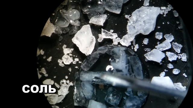 Соль и сахар под микроскопом. Как выглядят кристаллы соли и сахара под микроскопом? Натяжение воды. смотреть онлайн