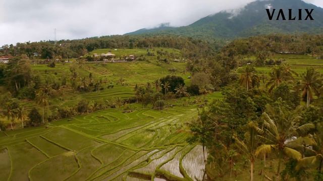 Elysium (Melodic House Music)