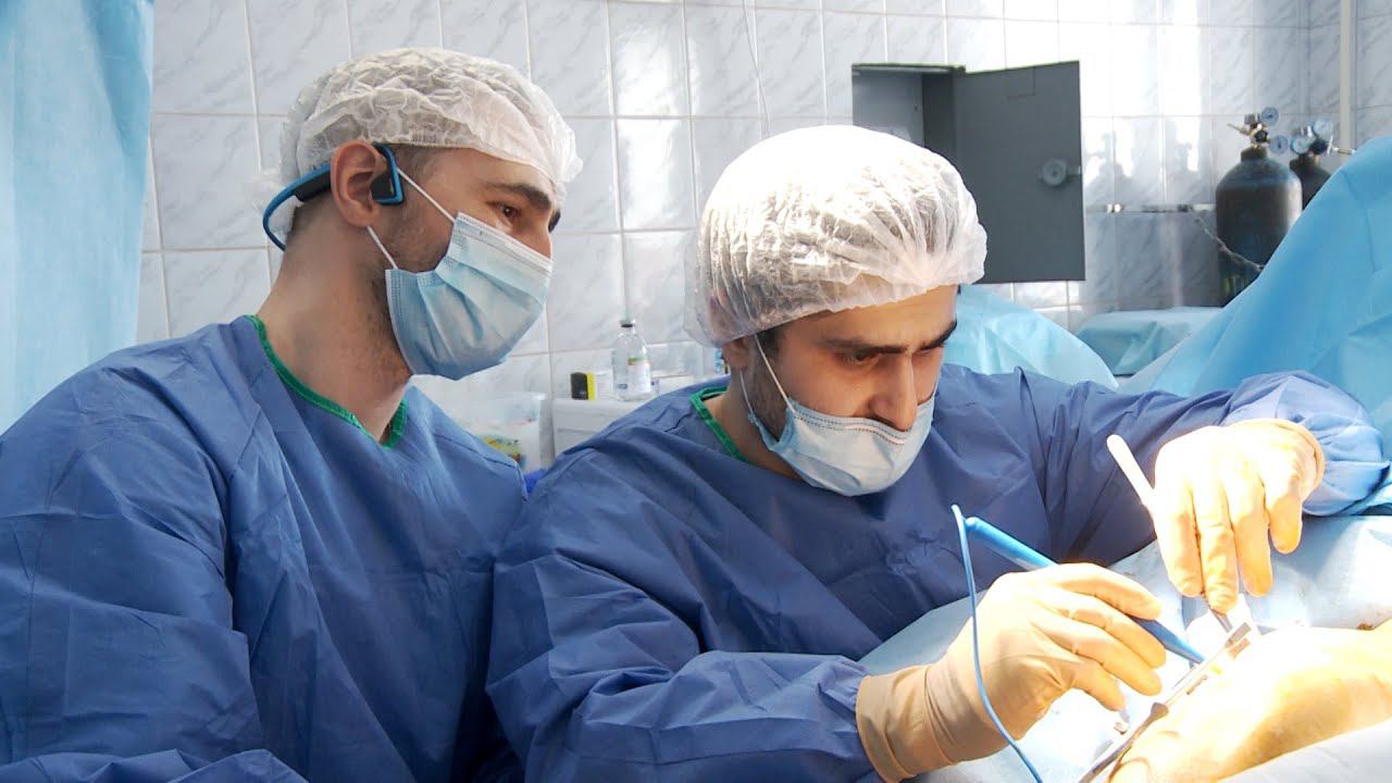 ИА «Импульс Севера»