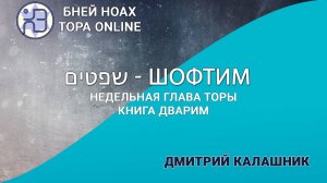 Недельная глава Торы - Парашат а-шавуа - «Шофтим» 5784/2024. Дмитрий Калашник