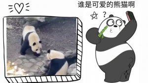 Символы Китая