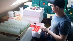 Инкубатор для вывода маток.  Матководство. Пчеловодство.