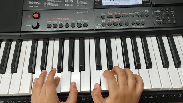 Born to be wild on Casio CT-X700 смотреть онлайн