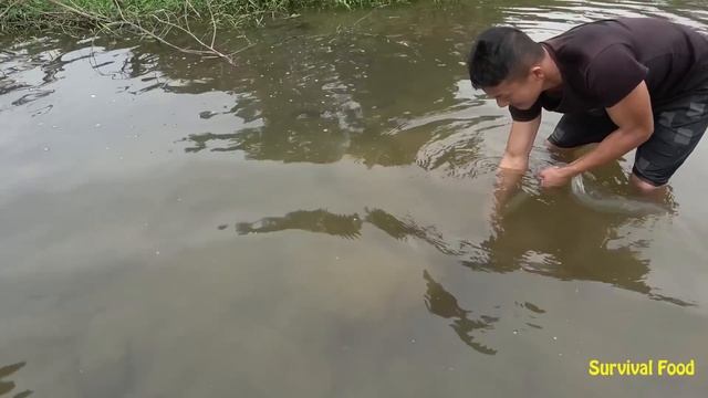 Primitive life: A session of fishing nets many fish - Skills catch fish смотреть онлайн