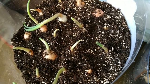 МЕНЮ НА ДЕНЬ ЧТОБЫ ПОХУДЕТЬ. КАК ПОХУДЕТЬ. МИНУС 13 КГ БЕЗ ДИЕТ. смотреть онлайн