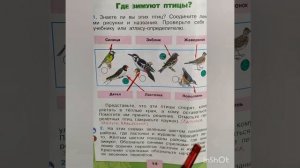 1 класс. ГДЗ. Окружающий мир. Рабочая тетрадь.Часть 2 Страницы 12-13. С комментированием