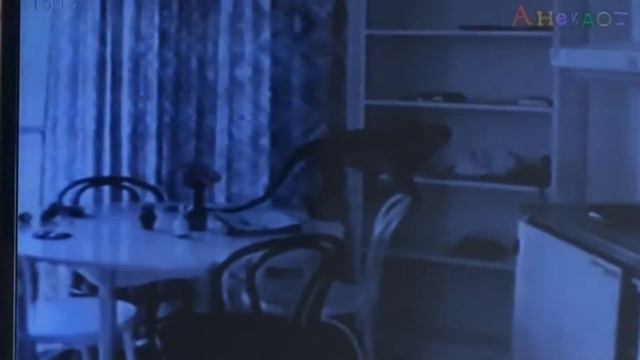Улётные животные смотреть онлайн