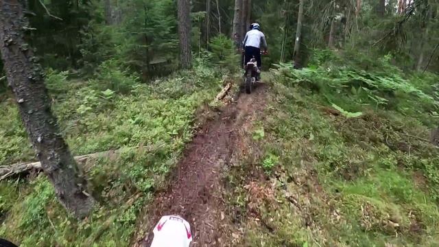 ЭНДУРО прохват по трассе "Тропа Лося" в Ленинградской области. BSE Z5. Часть 1 смотреть онлайн