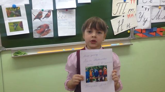 Доклад о птицах. 1 класс К. смотреть онлайн