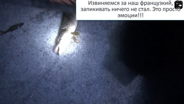 НОЧНАЯ ЩУКА НА ЖЕРЛИЦЫ | СОРОГА НА МОРМЫШКУ смотреть онлайн