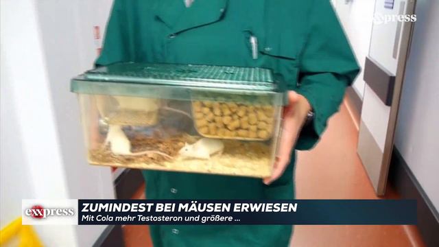 Zumindest bei Mäusen erwiesen смотреть онлайн