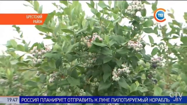 Поездка в ФХ "БЕРКЛИ" в рамках трансграничного семинара 1 смотреть онлайн