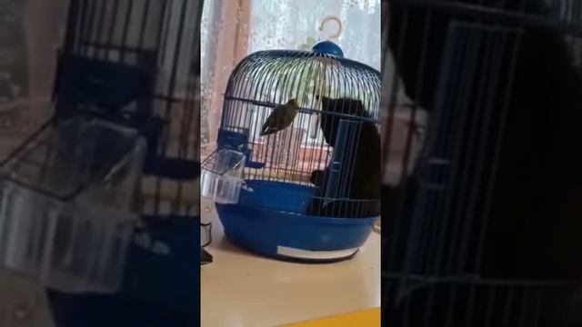 Лучше быть мягким снаружи и твёрдым внутри, чем твёрдым снаружи и мягким внутри. смотреть онлайн