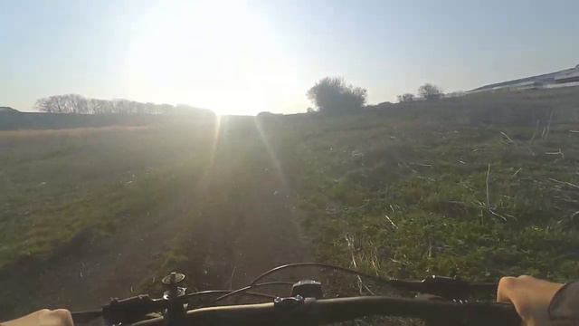 Велопрогулка по полям | Встретили 2-х лебедей! | Зарядились позитивом! смотреть онлайн