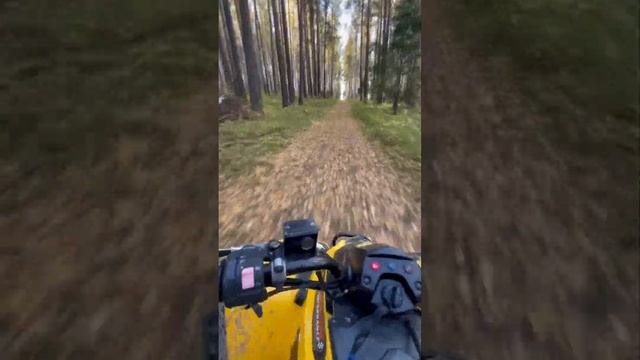 +вайб ? #brp #квадроцикл смотреть онлайн