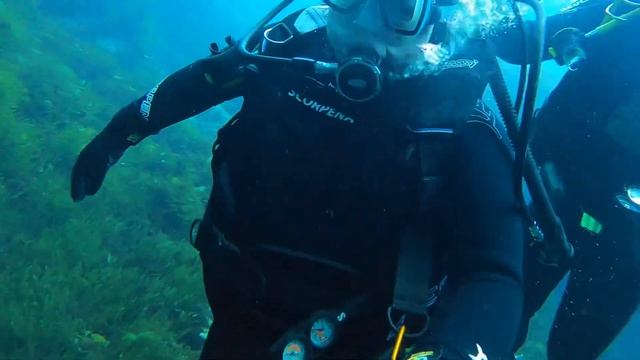 13 ноября 2023 г.