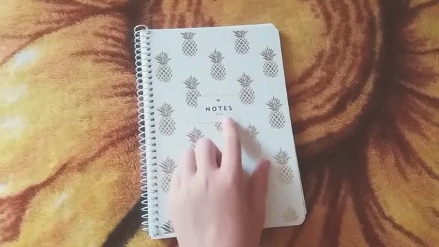 Мои тетради и блокноти