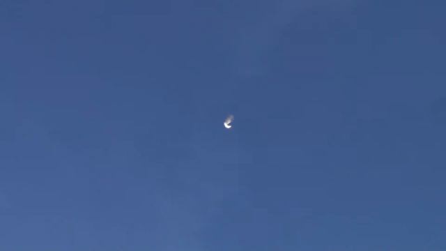 бойные голуби Рязани смотреть онлайн