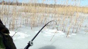 Рыбалки со льда на летние удочки! Сезон длинных начался! .mp4
