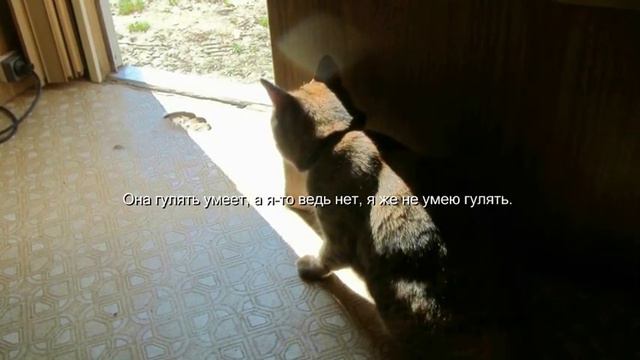 БАСЯ.wmv смотреть онлайн