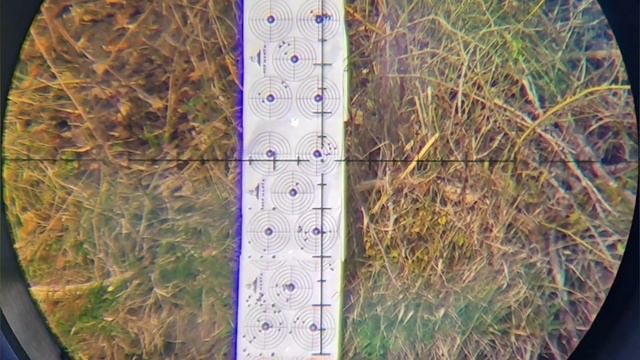 ЕГЕРЬ КСПЗ ГОЛИАФ 6.35 настроен по 0.35 г пули --P M-- отстрел на 10.0 👌 смотреть онлайн