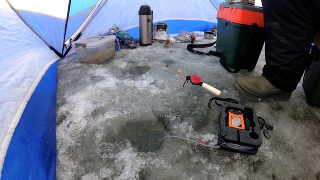 Рыбалка на карпа зимой. Платный водоем. Карп со льда. смотреть онлайн