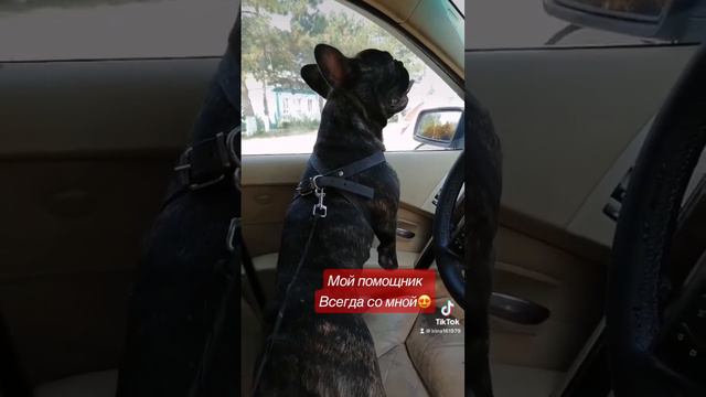 Бумка всегда со мной рядом, в любую поездку 😃😃😃😃😃 смотреть онлайн