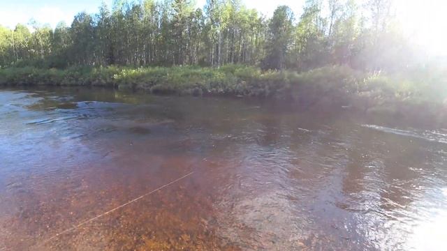 Ловим ХАРИУСА на спиннинг. Покоряем лесную речку на водомёте. 7 часть смотреть онлайн