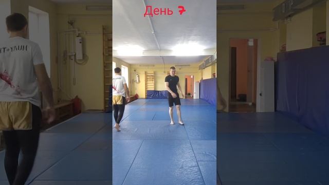 Челлендж 5000 отжиманий и приседаний за месяц, День 7. смотреть онлайн