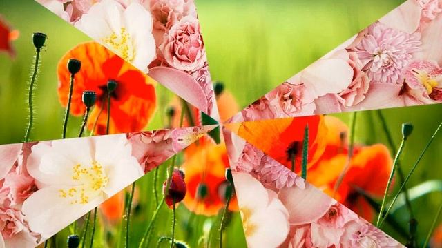 Красивые картинки смотреть онлайн